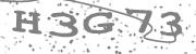 Type the letters in the image or Type the first letter of the words spoken in the audio.